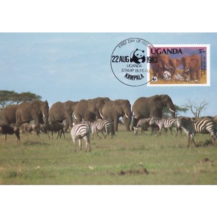 Elephant s Of Uganda With Zebras WWF Stamp First Day Cover Postcard