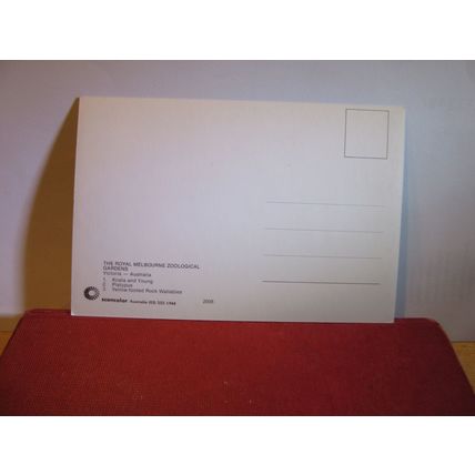 multiview, THE ZOO & GARDENS, MELBOURNE, VICTORIA, AUSTRALIA unused postcard a =