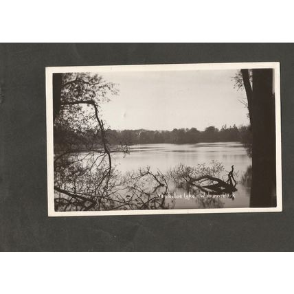 Postcard Buckinghamshire Drakeloe Lake