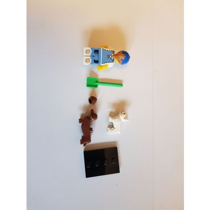 LEGO Minifigure Series 19 - Dog Sitter