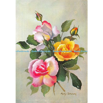 D025130 Pink and Yellow Roses by Mary Brown. The Medici Society