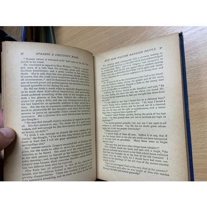 ANTIQUE E P ROE "THE OPENING OF A CHESTNUT BURR" FICTION BOOK (P3)