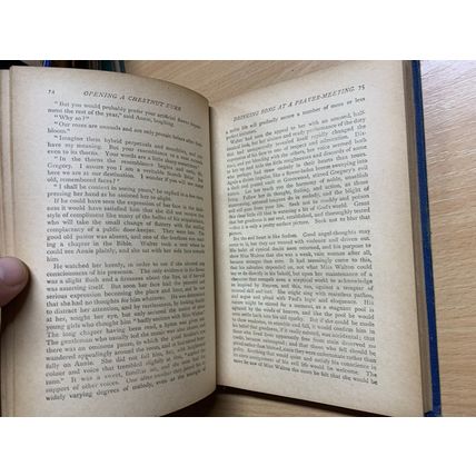 ANTIQUE E P ROE "THE OPENING OF A CHESTNUT BURR" FICTION BOOK (P3)