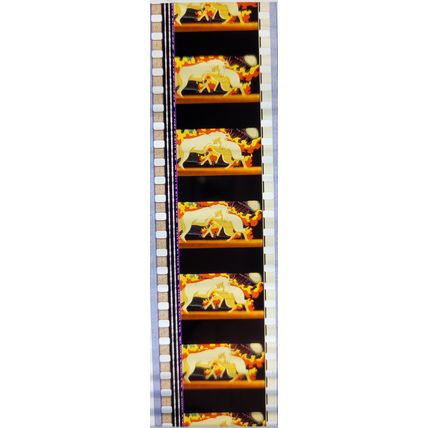 Pokemon . Pk TSR - a042P . 1 STRIP OF 5 - 35MM FILM CELLS
