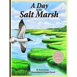 A Day In The Salt Marsh