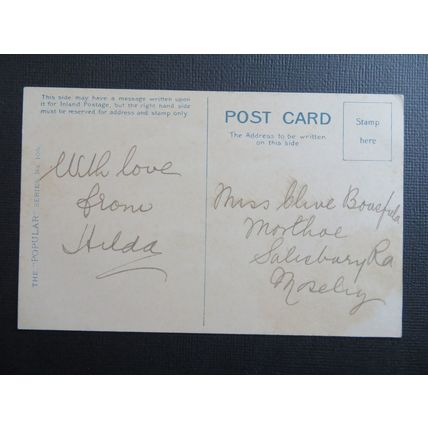 Swallows Birds Vintage Postcard