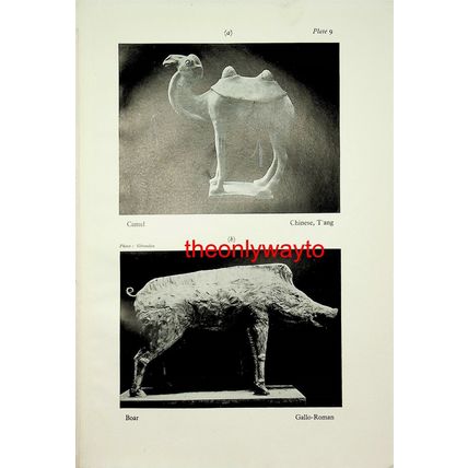 Camel, Chinese T'ang & Boar Gallo Roman, Book Illustration (Print), 1929