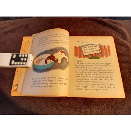 Little Golden Book The Porky Little Puppy By Janette Lowrey (A) Edition 1956