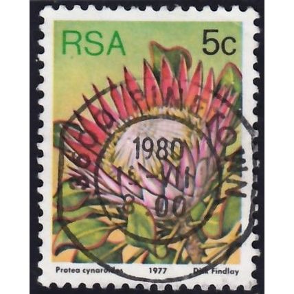 South Africa, 1977 5c Cynaroides, SG418 (Scott #479), used