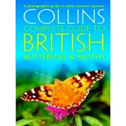 British Butterflies & Moths