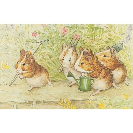 Cecily Parsleys Nursery Rhymes Beatrix Potter Guinea Pigs Postcard