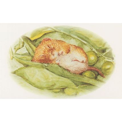 The Tale Of Johnny Town Mouse Timmie Willie Beatrix Potter Book Postcard