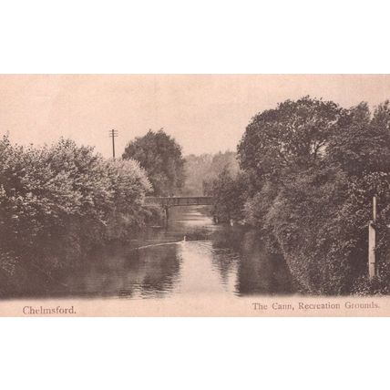 Chelmsford The Cann Swan Ripple On Water Antique Postcard