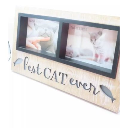 Best Cat Ever Photo Frame 19.5 CM Feline Gift Home Decor Light Up Picture