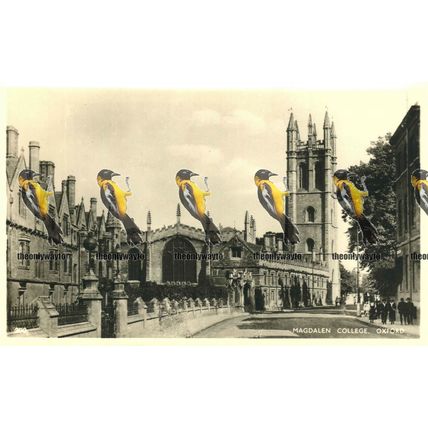 Magdalen College (1), Oxford, Oxon, RP Postcard