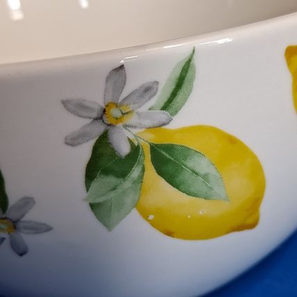 Lot 4 Royal Norfolk LEMON 6" SOUP BOWLS Cereal Citrus Fruit