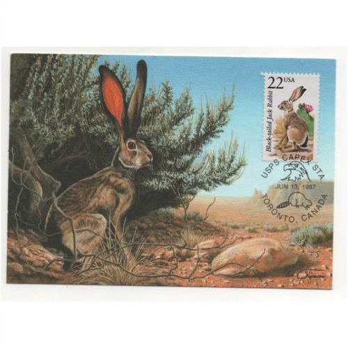 22c Jack Rabbit Capex 1987 Int'l Stamp Exhibition Toronto FD maxicard 2305