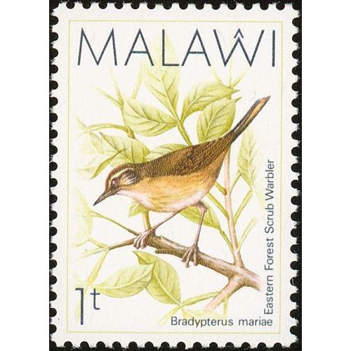 Malawi 1988 Birds Scrub Warbler Unmounted Mint NHM SG 789 Sc 518 Postage Stamp