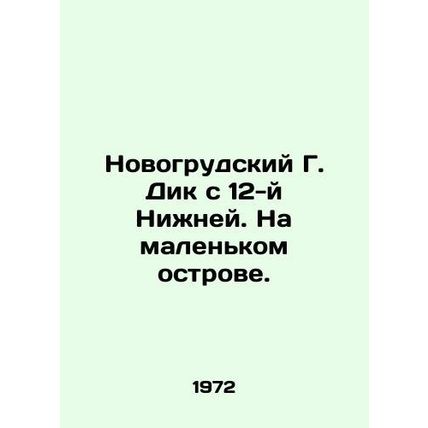 Novogrudok G. Dick from the 12th Nizhny Novgorod. On a small island./Novogrudski