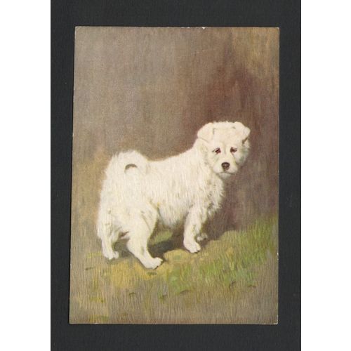 DE RESKE THE SAMOYED CIGARETTE LARGE PACKET DOG POSTCARD UNUSED
