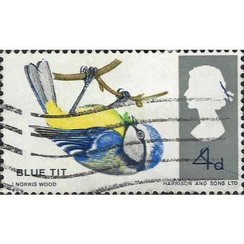 GB, BIRDS, Bluetit, white 1966, 4d, #2