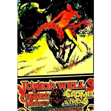 Junior Wells - The Family Dog 7" X 5" Thin Flyer Postcard 1967 RARE (A30