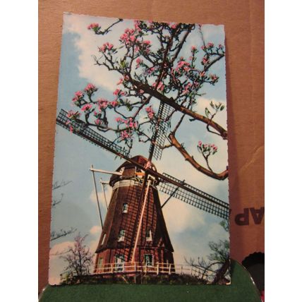 SPRINGTIME IN HOLLAND. unused postcard RP =