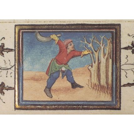 Pruning Trees Belgium Flemish Prunes Medieval Book Postcard