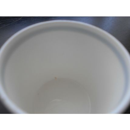 Wedgewood - Glen Mist - Mug