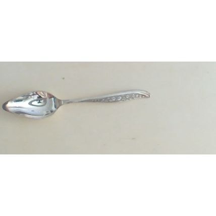 Vintage Arden Plate Teaspoon