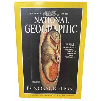 National Geographic Magazine May 1996 Dinosaur Eggs - Vintage Collectable r