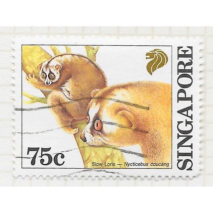 SINGAPORE 1993 MAMMALS SLOW LORIS 75c USED