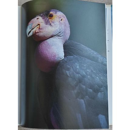 LAND OF THE EAGLE by Robert McCracken Peck - Hardback