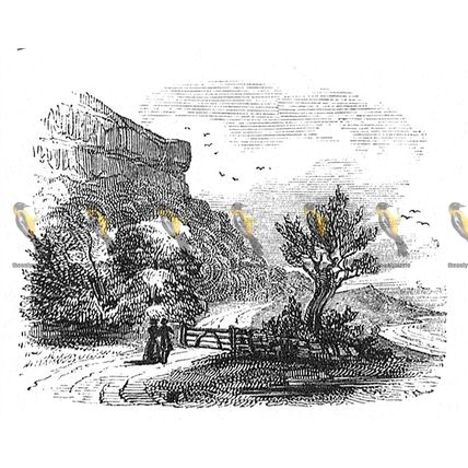 Undercliff (Bonchurch To Blackgang), Isle Of Wight, 1840, MODERN REPRODUCTION