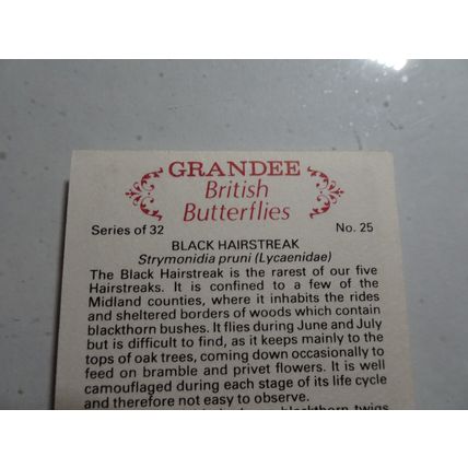 1983 Grandee British Butterflies Card # 25 of 32 Black Hairstreak VG-Ex (4)