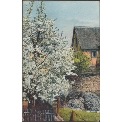 Stimmungsbild - Frühlingsblüte, Gehöft, c.1910s - Nenke & Ostermaier AK