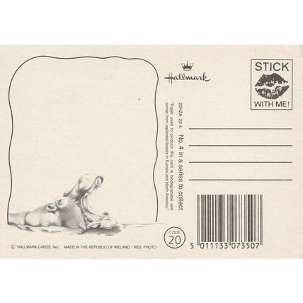 HALLMARK - BORN THIS WAY - POSTCARD .