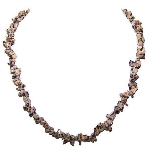 Chip Dalmation Jasper necklace