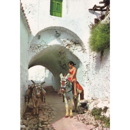 Colour Postcard - Peaceful Street Scene with Donkeys, Spain