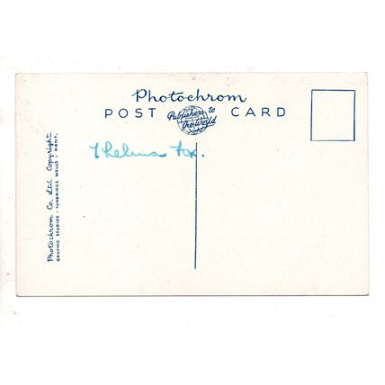 ARTIST DRAWN POSTCARD BY KIRMSE PERSIS PEKINGESE DOG WITH PUPPIES (2729)
