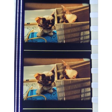Gremlins. pk DJQ - A 025Y. 1 strip of 5 film cells - 35mm