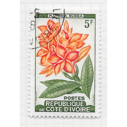IVORY COAST 1961 RED FRANGRIPANI FLOWER 5F USED FLORA
