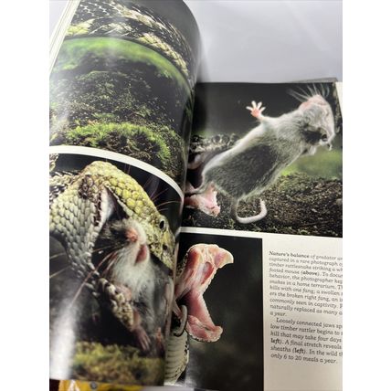 National Geographic Magazine July 1987 Soybean Vintage Collectable g