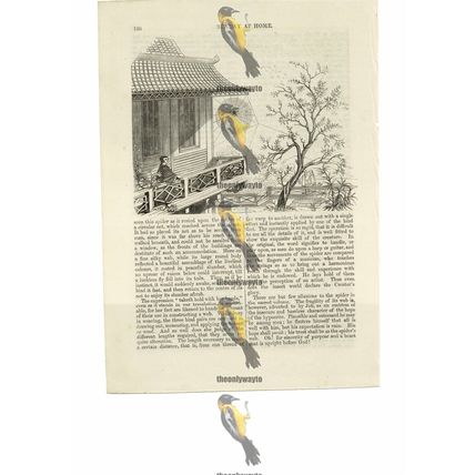 Spiders in Kings Palace, Chinese Bible Illustration (Print), 1856