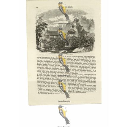 Zayat & Burmese Temple, Book Illustration (Print), 1856
