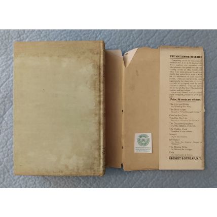 c 1910 HCDJ TEMPEST AND SUNSHINE by MARY J HOLMES with RARE ILLUSTRATED JACKET