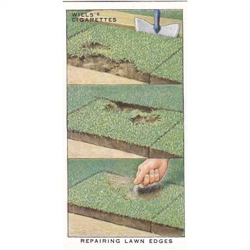 Wills Garden Hints Card No. 19 Repairing Lawn Edges