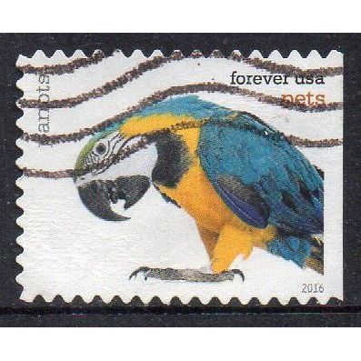 USA 2016 Pets - Parrots Forever Used