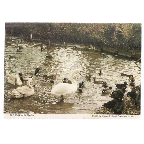 THE SOAK, ALRESFORD. Otterbourne W.I. vintage postcard unposted Hampshire W.I. #