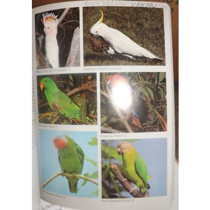 PHOTOGRAPHIC FIELD GUIDE: BIRDS OF AUSTRALIA (Jim Flegg, PB, GC, 2005)